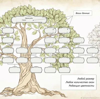 Генеалогическое древо семьи — бесплатная программа