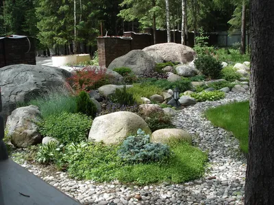 Картинка Рокарии: каменный оазис в вашем саду