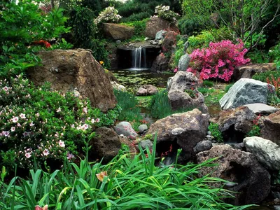 Фото Рокарии: сад с камнями, который приносит гармонию