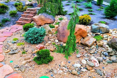 Изображение Рокарии: сад, который позволяет расслабиться и наслаждаться природой