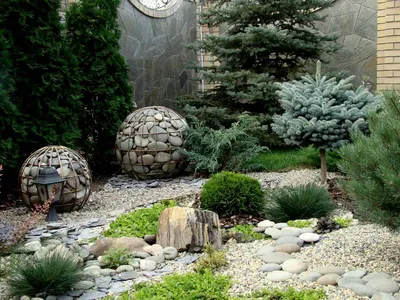Фотография Рокарии: сад с камнями, который можно создать на небольшом участке