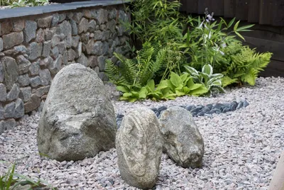 Фото Рокарии: сад с камнями, который подходит для любого климата