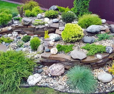 Фотография Рокарии: создайте уникальный дизайн своего сада с камнями