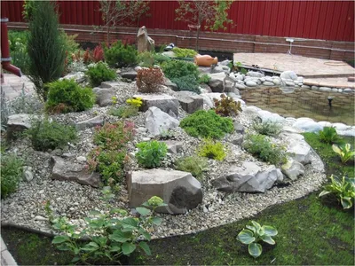 Удивительный сад из камней: фото Рокарии