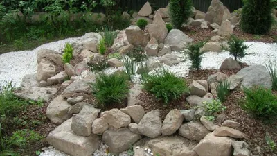 Рокария (Сады С Камнями) на картинке: сад, который создает атмосферу уюта