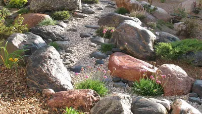 Изображение Рокарии: сад с камнями, который заставит вас задуматься