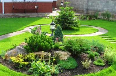 Рокарий своими руками на даче: фото, пошаговое, схемы | Rock garden design,  Garden layout vegetable, Evergreen garden