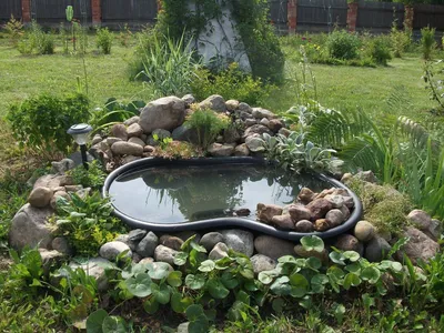 Так просто: 25 крутых фишек, которые превратят ваш участок в сад с обложки  | Дизайн участка (Огород.ru)