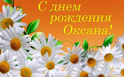 С днем рождения женщине открытки красивые ромашки