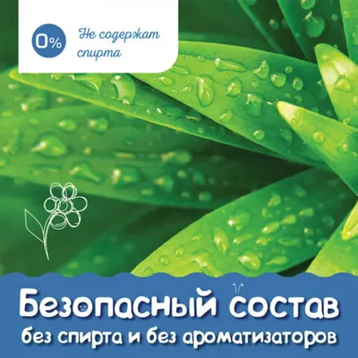 Чудеса природы. 50 историй в картинках для детей Виктория Царинная - купить  книгу Чудеса природы. 50 историй в картинках для детей в Минске —  Издательство АСТ на OZ.by