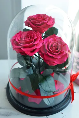 Роза в колбе с подсветкой Lerosh - Classic 27 см - купить напрямую у  производителя с гарантией