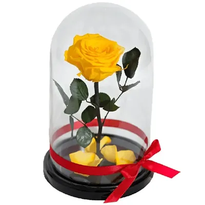 Белая роза в колбе, 29 см.: купить вечную розу в интернет-магазине Dekoflor