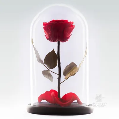 Розы в колбе - Цветочный Салон Lotus