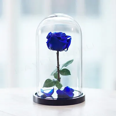 купить розу в колбе мини синяя в интернет магазине Москва