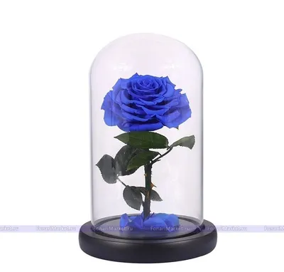 Роза в колбе 20 см. - Синяя, купить вечную розу в стеклянной колбе Mini