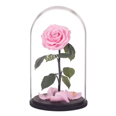 Розовая роза в колбе M купить в Краснодаре с доставкой
