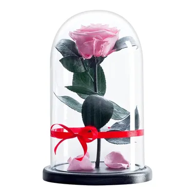 Купить стабилизированная роза в колбе Therosedome Premium 7-8 см,  нежно-розовый, цены на Мегамаркет | Артикул: 600004040307