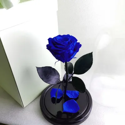Роза в Колбе King (синяя) |