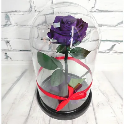 Розы в колбе, цветы в колбе с подсветкой (id 71240958), купить в  Казахстане, цена на Satu.kz