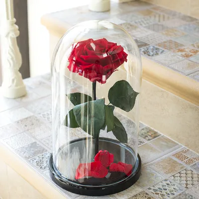 Купить розу в колбе нежно-розовую ᐈ Цветы Floretta