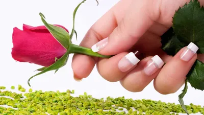 Роза в руке: воплощение красоты