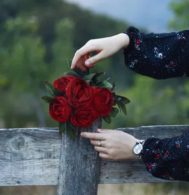Красивая фотография розы, передающая настроение