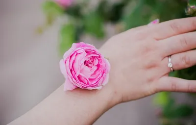 Роза в руке: красота природы и рукотворного творения