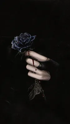 Картинка розы с насыщенными цветами