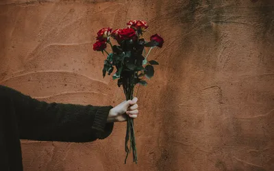 Изображение розы в руке: PNG формат для скачивания