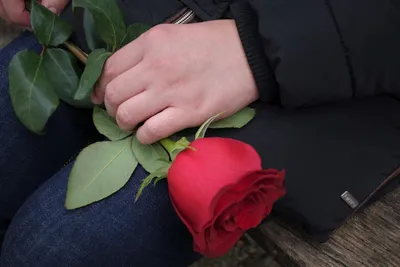 Рука с красной розой: фото в черно-белом стиле