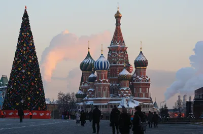 Купить новогоднюю елку \"Декоративная\" по доступной цене с доставкой в  Москве и области в интернет-магазине Город Букетов