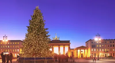 Топ-5 рождественских угощений в Германии