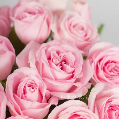 Ярко розовые пионы | купить недорого | доставка по Москве и области