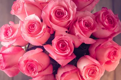 Розы бело-розовые 70см 35 шт ⋆ Букет вам 24