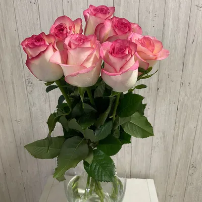 Что означают розовые розы и к чему дарят букеты с розовыми розами