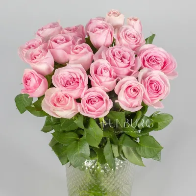 Almaflowers.kz | 101 роза (Красные и розовые) - купить в Алматы по лучшей  цене с доставкой