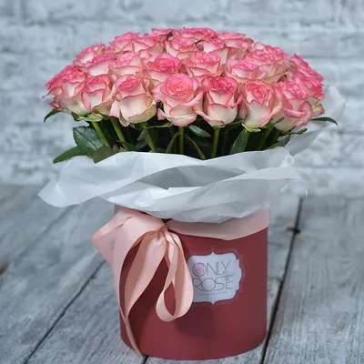 Фотографии Розы розовая цветок Много 1080x1920