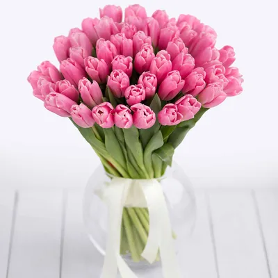 Розовые тюльпаны картинки фото