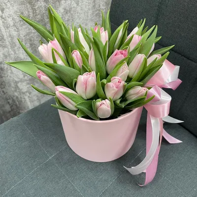 Розовые тюльпаны оптом | купить розовые тюльпаны оптом