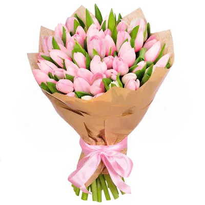 51 нежно-розовый тюльпан | доставка по Москве и области