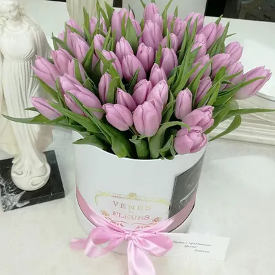 Белые и розовые тюльпаны в коробке (M) до 99 тюльпанов - купить в  интернет-магазине Rosa Grand