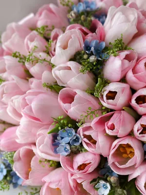 Купить Нежно-розовые тюльпаны в Москве недорого с доставкой