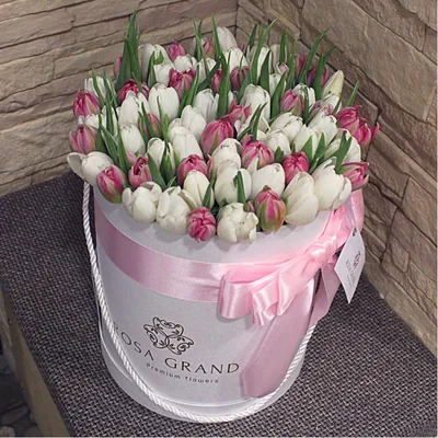 51 белый и розовый тюльпан 51 шт. купить с доставкой в Москве. Цена от 8415  ₽