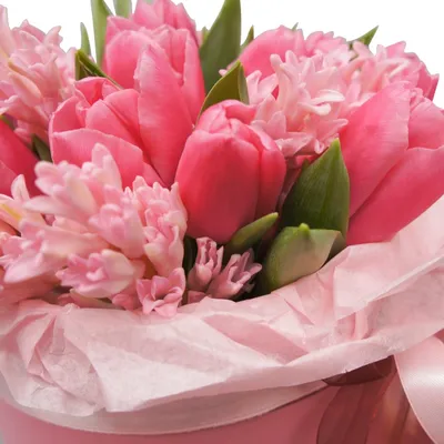 Розовые тюльпаны шт. купить с доставкой по Краснодару