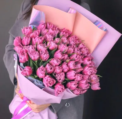 51 бело-розовый тюльпан в красивой упаковке - заказать в интернет-магазине  «La Bouquet»