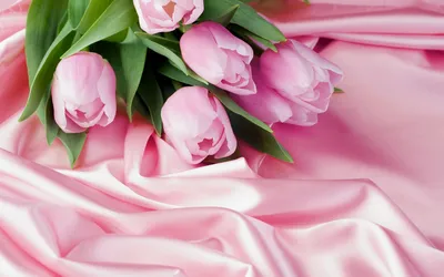 Розовые тюльпаны с атласной лентой