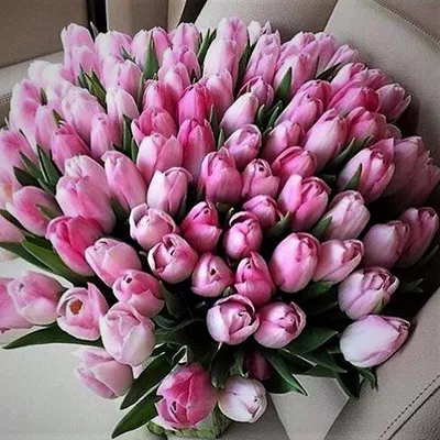 Тюльпаны розовые купить в интернет-магазине.