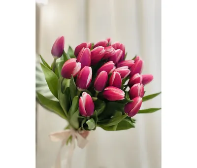 Букет из бело-розовых тюльпанов (25 шт) за 2890р. Позиция № 1755