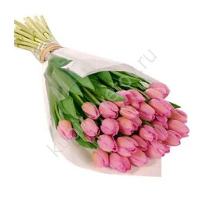 Пионовидные розовые тюльпаны заказать букет с доставкой