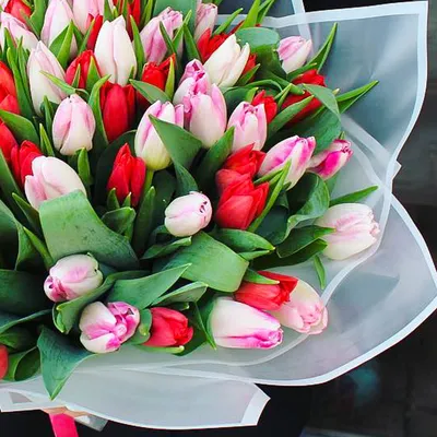 Розовые тюльпаны и альстромерии в белой коробке - купить с доставкой в  Омске - LAVANDA
